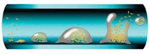 Control de crecimiento de biofilm en tuberias